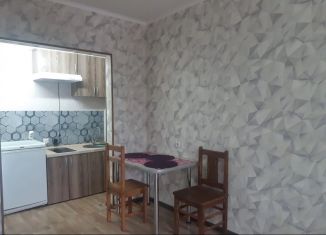 Квартира в аренду студия, 35 м2, Новосибирск, улица Виталия Потылицына, 11/1, Октябрьский район