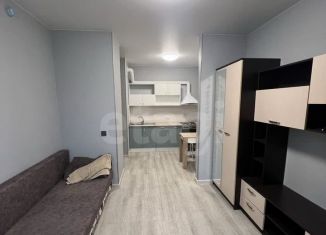 Сдаю в аренду квартиру студию, 25 м2, Тюмень, Алматинская улица, 4, ЖК Звёздный