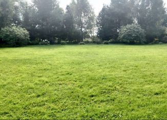 Продам земельный участок, 12 сот., деревня Ельня