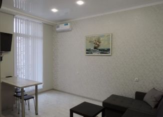 Продаю квартиру студию, 15.1 м2, Москва, Первомайская улица, 58Бс1, ВАО