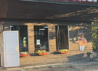 Сдам в аренду торговую площадь, 50 м2, Красноярский край, улица Горького, 53/1