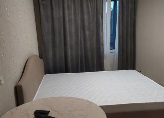 Сдача в аренду квартиры студии, 27 м2, Ломоносов, Михайловская улица, 51