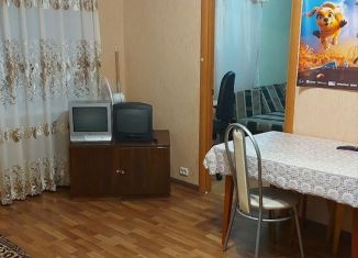 Четырехкомнатная квартира в аренду, 61.5 м2, Елабуга, проспект Нефтяников, 16А