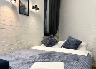 Сдаю в аренду квартиру студию, 18 м2, Санкт-Петербург, проспект Обуховской Обороны, 123А