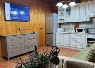 Сдаю дом, 80 м2, Ростовская область, улица Юности