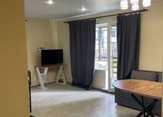 Сдаю в аренду таунхаус, 90 м2, Ленинградская область, КП Лесная усадьба, 2