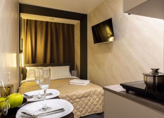 Сдам квартиру студию, 12 м2, Санкт-Петербург, Невский проспект, 156