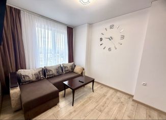 1-комнатная квартира в аренду, 39 м2, Ростов-на-Дону