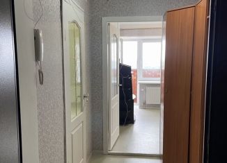 Аренда 1-ком. квартиры, 25 м2, Сарапул, улица Гончарова, 48Д