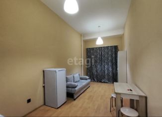 Продам квартиру студию, 22.3 м2, Екатеринбург, улица Испытателей, 24, Октябрьский район