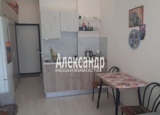 Сдача в аренду квартиры студии, 23 м2, Санкт-Петербург, Дубровская улица, 5