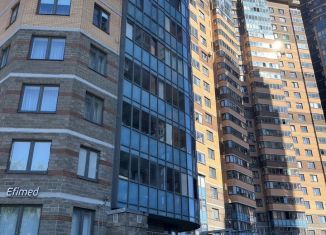 Сдача в аренду однокомнатной квартиры, 36 м2, Санкт-Петербург, улица Брянцева, 13к1