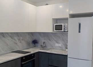 Сдается 2-ком. квартира, 42 м2, Новосибирск, улица Владимира Заровного, 10, Октябрьский район