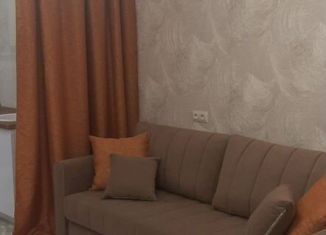 Квартира в аренду студия, 30 м2, Ростов-на-Дону, улица 26-я Линия, 35/2