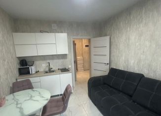 Сдается в аренду 1-комнатная квартира, 47 м2, поселок городского типа Афипский, улица Пушкина, 115