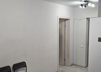 Сдаю в аренду 4-комнатную квартиру, 88 м2, Крым, улица Бориса Хохлова