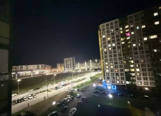 Однокомнатная квартира в аренду, 34 м2, Мурино, Ручьёвский проспект, 9