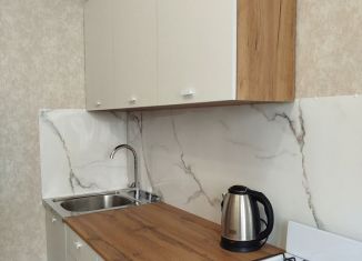 Сдаю в аренду однокомнатную квартиру, 29 м2, Муром, 3-я Новослободская улица, 2А