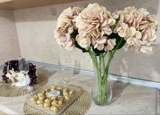 Продам 2-ком. квартиру, 49 м2, городской посёлок Янино-1, Голландская улица, 10