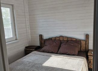 Сдача в аренду дома, 60 м2, Ростовская область