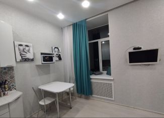 Сдам в аренду квартиру студию, 25 м2, Санкт-Петербург, Коломенская улица, 5