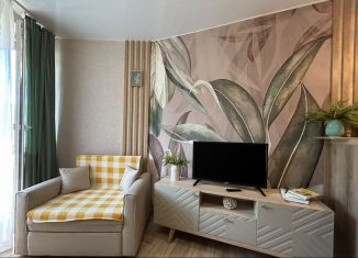 Аренда квартиры студии, 25 м2, Ломоносов, Михайловская улица, 51