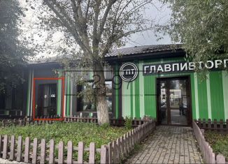 Помещение свободного назначения в аренду, 115 м2, Республика Башкортостан, улица Ленина, 41/1