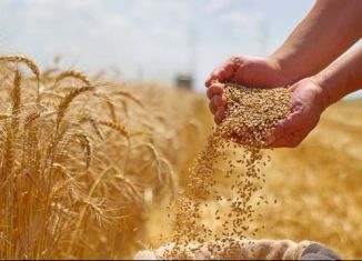 Продается участок, 20000 сот., Калмыкия, улица Ленина