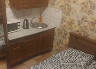 Сдача в аренду комнаты, 18 м2, Санкт-Петербург, Старо-Петергофский проспект, 26В, Адмиралтейский район