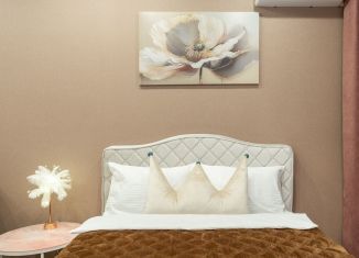 Сдается квартира студия, 25 м2, Санкт-Петербург, улица Крыленко, 14с3, ЖК Вингз