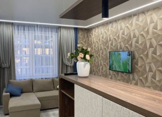 Сдаю в аренду однокомнатную квартиру, 40 м2, Татарстан, улица Петра Полушкина, 6