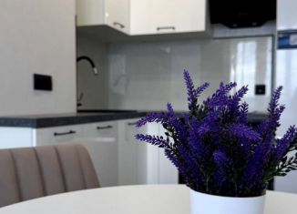 Продается 1-ком. квартира, 44 м2, Казань, улица Натана Рахлина, 7