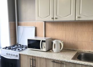 Сдача в аренду 1-ком. квартиры, 36 м2, Санкт-Петербург, муниципальный округ Дачное, проспект Ветеранов, 45