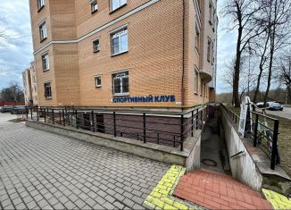 Сдаю помещение свободного назначения, 60 м2, Санкт-Петербург, Конюшенная улица, 26