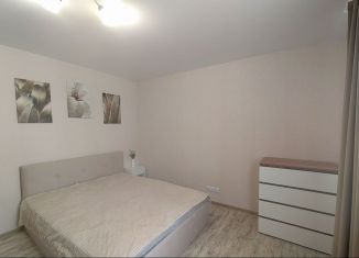 Продается 1-ком. квартира, 36 м2, деревня Куюки, Школьная улица, 5