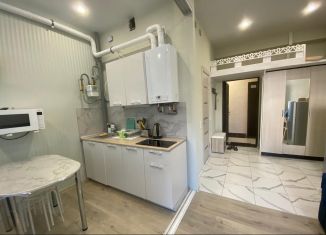 Квартира в аренду студия, 23 м2, Сочи, улица Калараша, 64/13к1