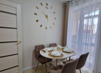 Аренда 1-ком. квартиры, 30 м2, Удмуртия, улица Строителя Николая Шишкина, 3/3