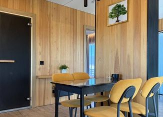 Аренда дома, 56 м2, Санкт-Петербург, 3-я линия, 24