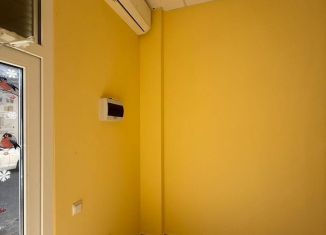 Сдаю в аренду помещение свободного назначения, 250 м2, Сочи, улица Гагарина, 55, микрорайон Гагарина