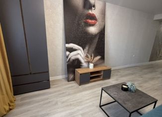 Квартира в аренду студия, 30 м2, Томская область, Киевская улица, 1