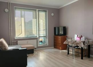 Продается квартира студия, 26 м2, Сертолово, Тихвинская улица, 8к2