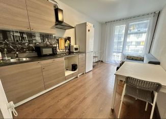 Сдается 1-комнатная квартира, 40 м2, Санкт-Петербург, бульвар Александра Грина, 1