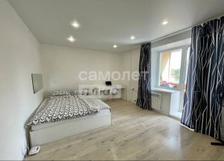 1-комнатная квартира на продажу, 36 м2, Удмуртия, Удмуртская улица, 366