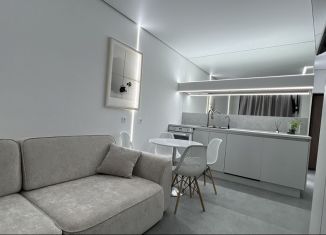 Сдача в аренду 1-комнатной квартиры, 38 м2, Крым, Западная улица, 4