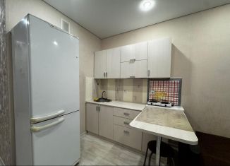 Сдам в аренду квартиру студию, 22 м2, село Засечное, Фонтанная улица, 10, ЖК Радужные Дворы