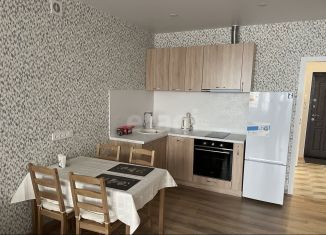 Сдаю в аренду квартиру студию, 40.3 м2, Новосибирск, Кавалерийская улица, 3/1, метро Заельцовская