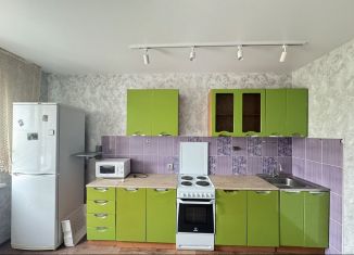 Аренда 1-ком. квартиры, 43 м2, Новосибирск, улица Татьяны Снежиной, 43, Октябрьский район