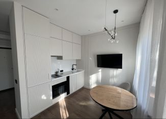 Сдача в аренду однокомнатной квартиры, 35 м2, Москва, улица Сретенка, 24/2с1