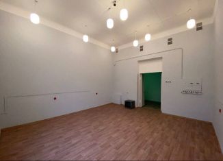 Сдам в аренду помещение свободного назначения, 22 м2, Санкт-Петербург, Кадетская линия, 5к2Д