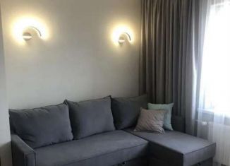 Сдам в аренду квартиру студию, 26.9 м2, Тюмень, улица Новосёлов, 109